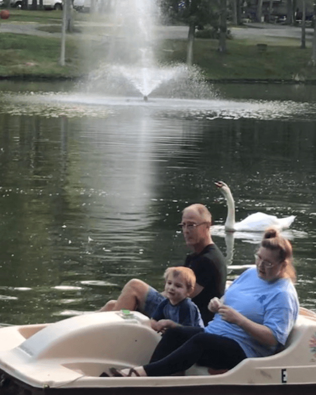 Paddleboat on the lake with Henry the Swan nearby