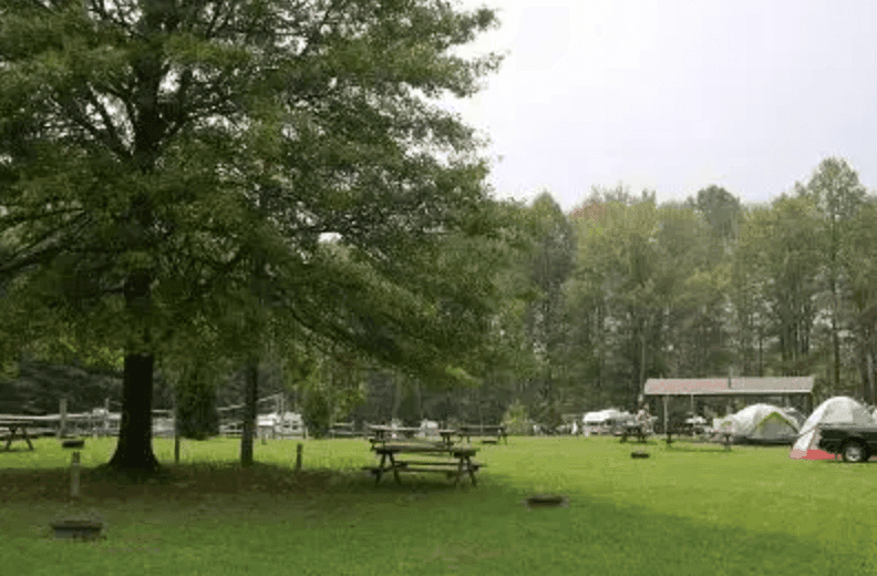 Wooded Tent Site