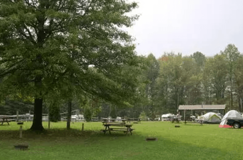 Wooded Tent Site